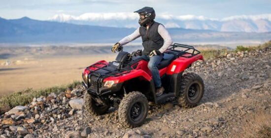 Neue Honda TRX 420 FourTrax 2024: Verbrauch, Preis und FOTOS