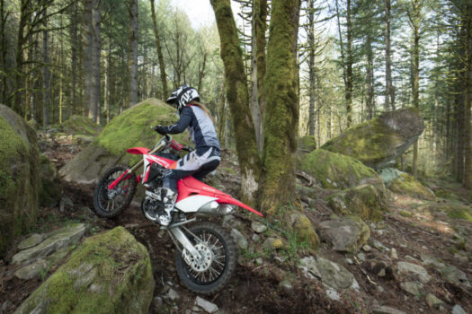 Neue Honda CRF 250RX 2024: Verbrauch, Preis und FOTOS