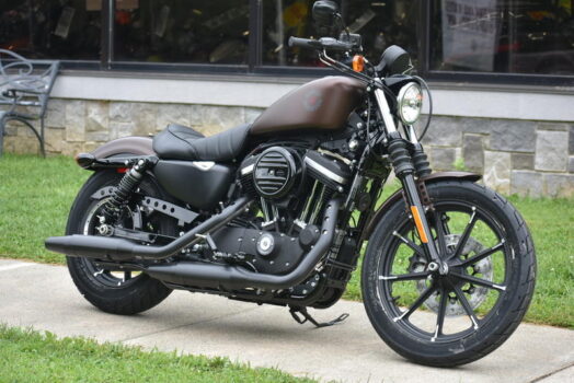 Neue Harley Davidson Iron 883 2024: Preise, technische Daten, FOTOS
