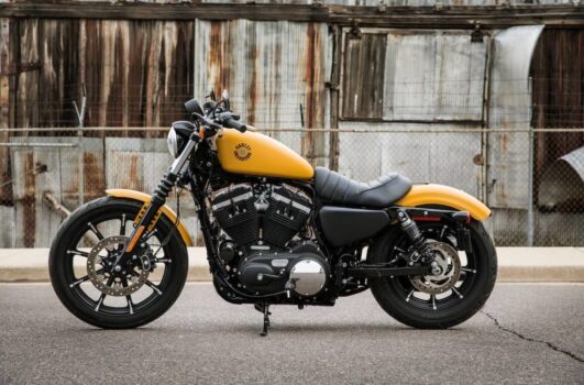 Neue Harley Davidson Iron 883 2024: Preise, technische Daten, FOTOS