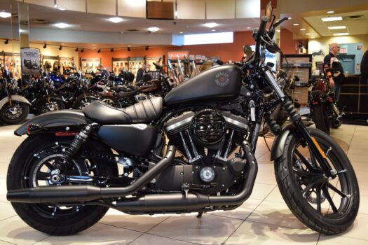 Neue Harley Davidson Iron 883 2024: Preise, technische Daten, FOTOS