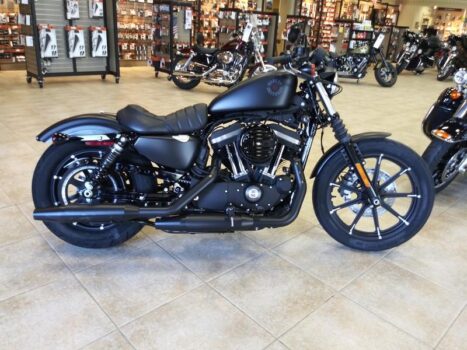 Neue Harley Davidson Iron 883 2024: Preise, technische Daten, FOTOS