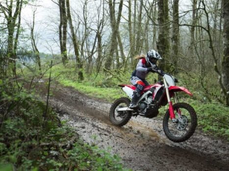 Neue Honda CRF 250RX 2024: Verbrauch, Preis und FOTOS