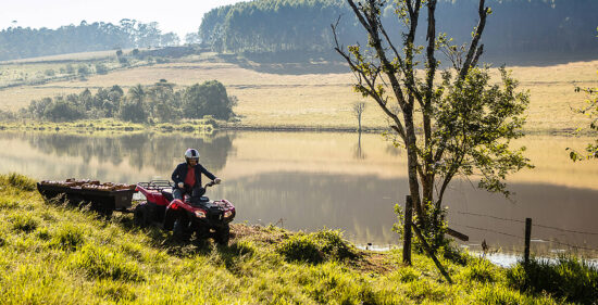 Neue Honda TRX 420 FourTrax 2024: Verbrauch, Preis und FOTOS