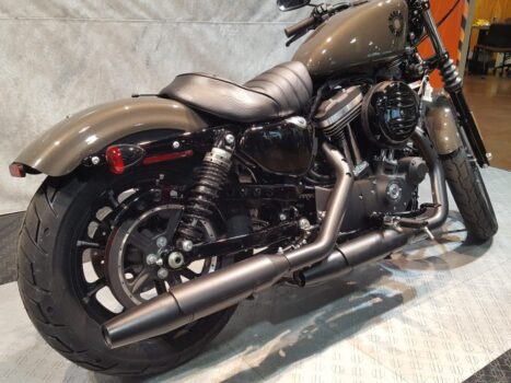 Neue Harley Davidson Iron 883 2024: Preise, technische Daten, FOTOS