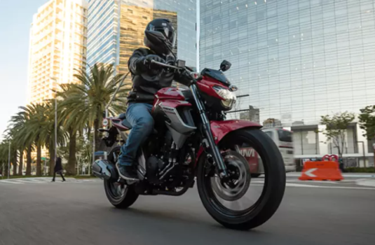Neue Yamaha Fazer 250 2024: Preise, technische Daten, Fotos, Verbrauch und Farben