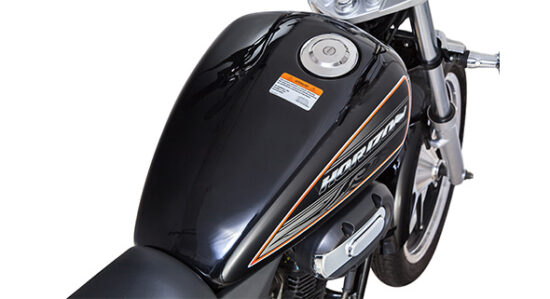 Neue Dafra Horizon 150 2024: Preis, FOTOS, Verbrauch, technische Daten
