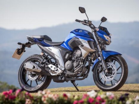 Yamaha Fazer 250 2024: PREISE, Technische Daten, Fotos
