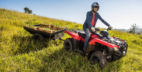 Neue Honda TRX 420 FourTrax 2024: Verbrauch, Preis und FOTOS