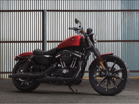 Neue Harley Davidson Iron 883 2024: Preise, technische Daten, FOTOS
