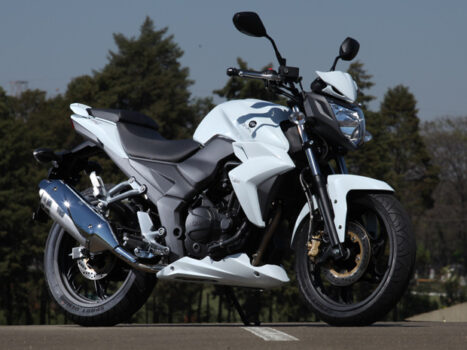 Neue Dafra Next 250 2024: Preis, FOTOS, Verbrauch und technische Daten