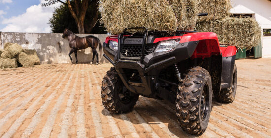Neue Honda TRX 420 FourTrax 2024: Verbrauch, Preis und FOTOS