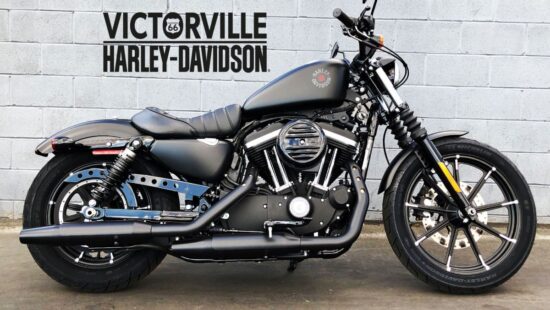 Neue Harley Davidson Iron 883 2024: Preise, technische Daten, FOTOS