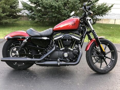 Neue Harley Davidson Iron 883 2024: Preise, technische Daten, FOTOS