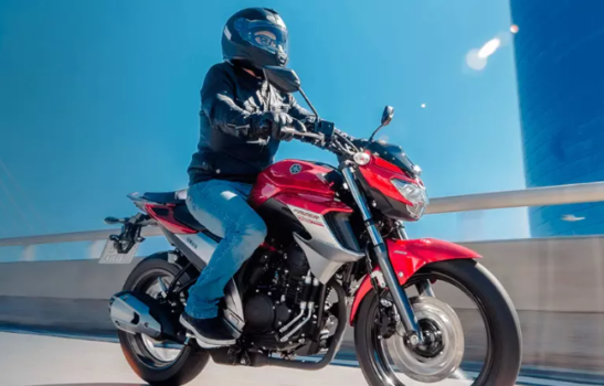 Neue Yamaha Fazer 250 2024: Preise, technische Daten, Fotos, Verbrauch und Farben