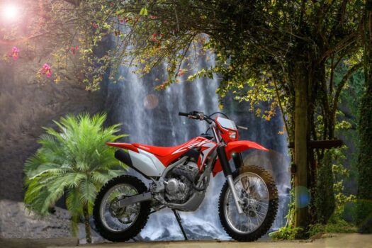 Neue Honda CRF 250F 2024: Preise, technische Daten, FOTOS und Motor