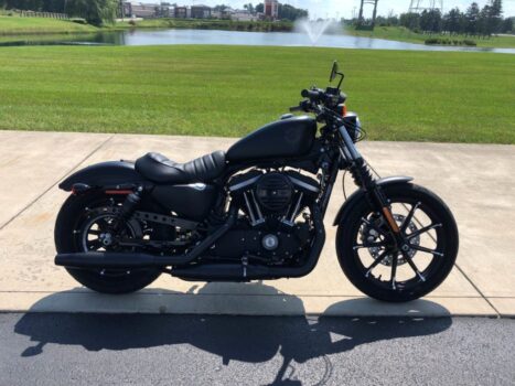 Neue Harley Davidson Iron 883 2024: Preise, technische Daten, FOTOS