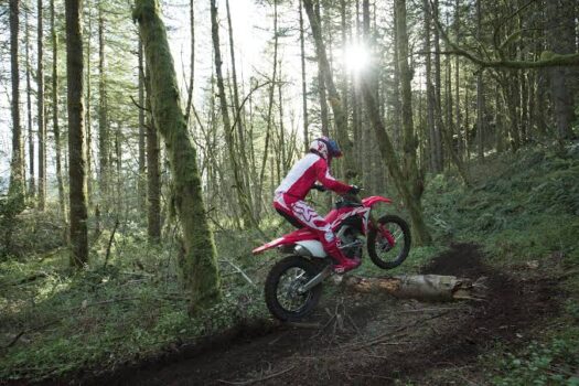 Neue Honda CRF 250RX 2024: Verbrauch, Preis und FOTOS