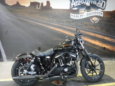 Neue Harley Davidson Iron 883 2024: Preise, technische Daten, FOTOS