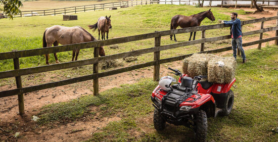 Neue Honda TRX 420 FourTrax 2024: Verbrauch, Preis und FOTOS